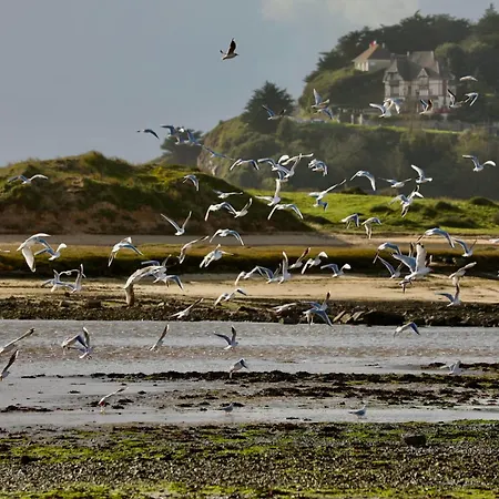 Lägenhet Les Courlis With Terrace Overlooking Carteret Marina *