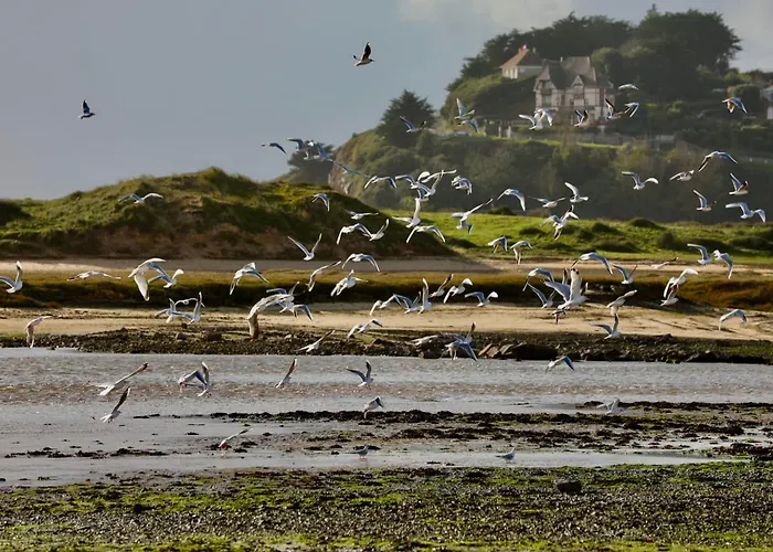 Lägenhet Les Courlis With Terrace Overlooking Carteret Marina *